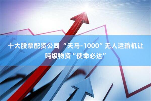 十大股票配资公司 “天马-1000”无人运输机让吨级物资“使命必达”